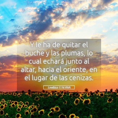 Picture 05 - Levítico 1:16 RVA - Y le ha de quitar el buche y las plumas, lo cual - Bible Verse Picture