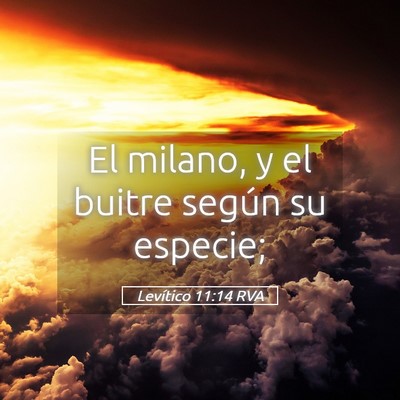 Picture 05 - Levítico 11:14 RVA - El milano, y el buitre según su - Bible Verse Picture
