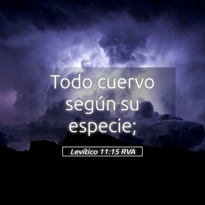 Picture 05 - Levítico 11:15 RVA - Todo cuervo según su - Bible Verse Picture
