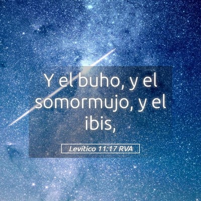 Picture 05 - Levítico 11:17 RVA - Y el buho, y el somormujo, y el - Bible Verse Picture
