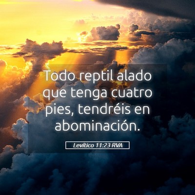 Picture 05 - Levítico 11:23 RVA - Todo reptil alado que tenga cuatro pies, - Bible Verse Picture