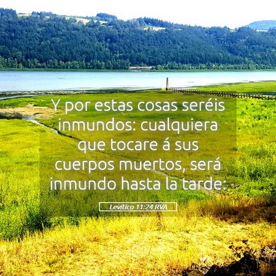 Picture 05 - Levítico 11:24 RVA - Y por estas cosas seréis inmundos: cualquiera - Bible Verse Picture