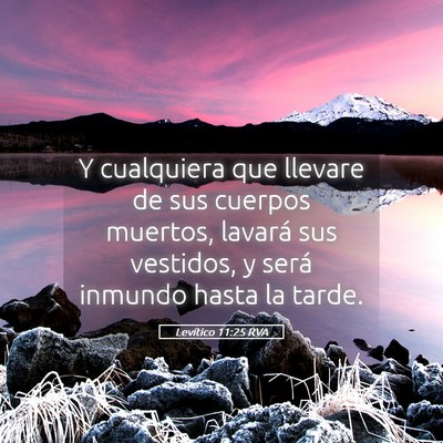 Picture 05 - Levítico 11:25 RVA - Y cualquiera que llevare de sus cuerpos muertos, - Bible Verse Picture