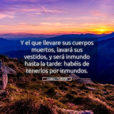 Picture 05 - Levítico 11:28 RVA - Y el que llevare sus cuerpos muertos, lavará sus - Bible Verse Picture