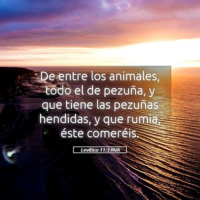 Picture 05 - Levítico 11:3 RVA - De entre los animales, todo el de pezuña, y que - Bible Verse Picture