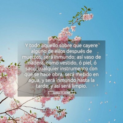 Picture 05 - Levítico 11:32 RVA - Y todo aquello sobre que cayere alguno de ellos - Bible Verse Picture