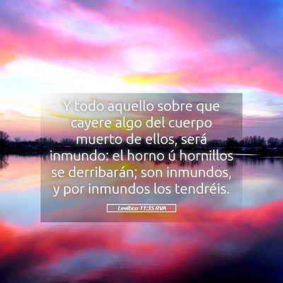 Picture 05 - Levítico 11:35 RVA - Y todo aquello sobre que cayere algo del cuerpo - Bible Verse Picture