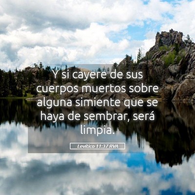 Picture 05 - Levítico 11:37 RVA - Y si cayere de sus cuerpos muertos sobre alguna - Bible Verse Picture