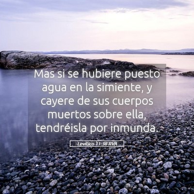 Picture 05 - Levítico 11:38 RVA - Mas si se hubiere puesto agua en la simiente, y - Bible Verse Picture
