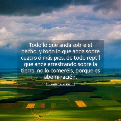 Picture 05 - Levítico 11:42 RVA - Todo lo que anda sobre el pecho, y todo lo que - Bible Verse Picture