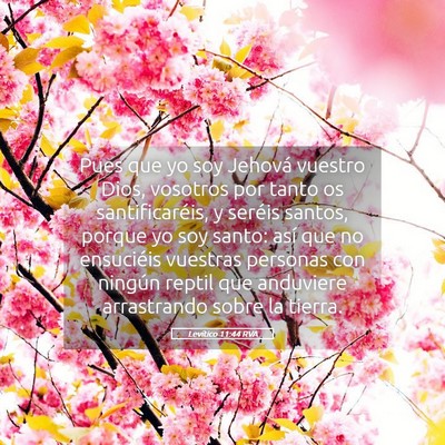 Picture 05 - Levítico 11:44 RVA - Pues que yo soy Jehová vuestro Dios, vosotros - Bible Verse Picture