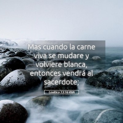 Picture 05 - Levítico 13:16 RVA - Mas cuando la carne viva se mudare y volviere - Bible Verse Picture