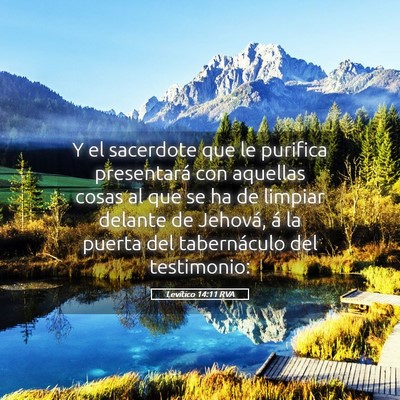 Picture 05 - Levítico 14:11 RVA - Y el sacerdote que le purifica presentará con - Bible Verse Picture