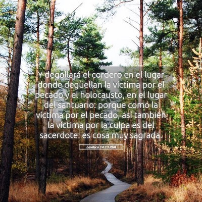 Picture 05 - Levítico 14:13 RVA - Y degollará el cordero en el lugar donde - Bible Verse Picture