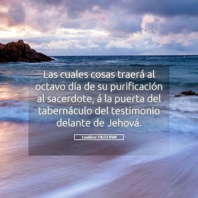 Picture 05 - Levítico 14:23 RVA - Las cuales cosas traerá al octavo día de su - Bible Verse Picture