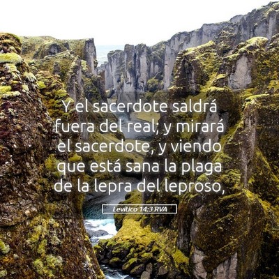 Picture 05 - Levítico 14:3 RVA - Y el sacerdote saldrá fuera del real; y mirará - Bible Verse Picture