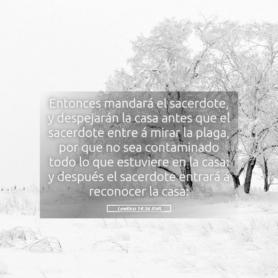 Picture 05 - Levítico 14:36 RVA - Entonces mandará el sacerdote, y despejarán la - Bible Verse Picture