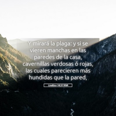 Picture 05 - Levítico 14:37 RVA - Y mirará la plaga: y si se vieren manchas en las - Bible Verse Picture
