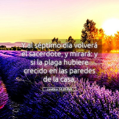 Picture 05 - Levítico 14:39 RVA - Y al séptimo día volverá el sacerdote, y - Bible Verse Picture