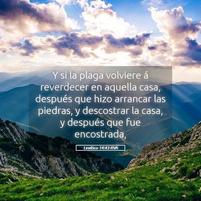 Picture 05 - Levítico 14:43 RVA - Y si la plaga volviere á reverdecer en aquella - Bible Verse Picture