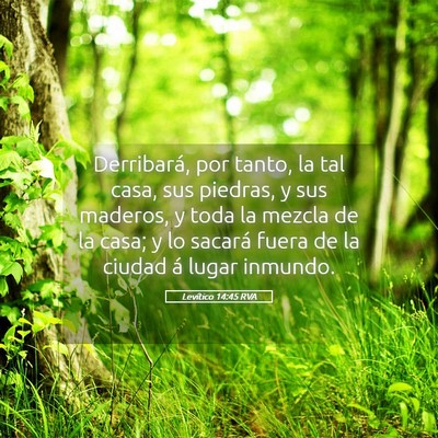 Picture 05 - Levítico 14:45 RVA - Derribará, por tanto, la tal casa, sus piedras, - Bible Verse Picture