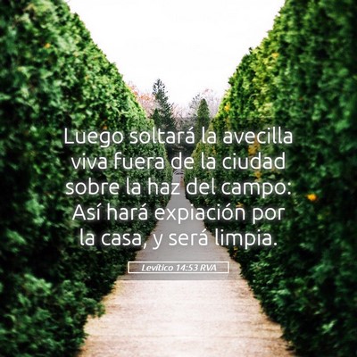 Picture 05 - Levítico 14:53 RVA - Luego soltará la avecilla viva fuera de la - Bible Verse Picture