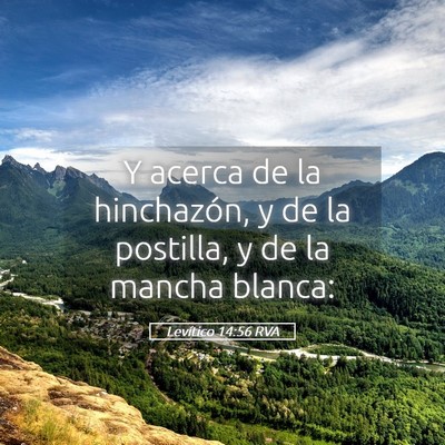 Picture 05 - Levítico 14:56 RVA - Y acerca de la hinchazón, y de la postilla, y de - Bible Verse Picture