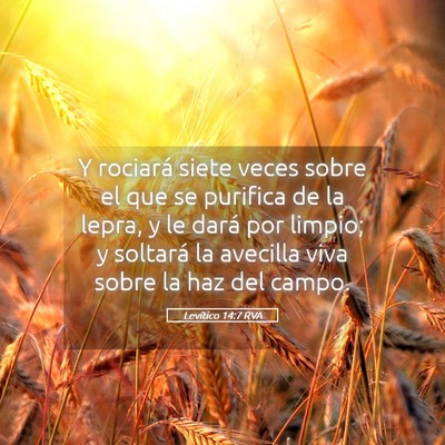 Picture 05 - Levítico 14:7 RVA - Y rociará siete veces sobre el que se purifica - Bible Verse Picture