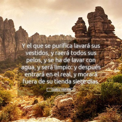 Picture 05 - Levítico 14:8 RVA - Y el que se purifica lavará sus vestidos, y - Bible Verse Picture