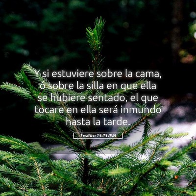 Picture 05 - Levítico 15:23 RVA - Y si estuviere sobre la cama, ó sobre la silla - Bible Verse Picture