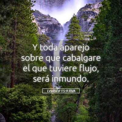 Picture 05 - Levítico 15:9 RVA - Y toda aparejo sobre que cabalgare el que tuviere - Bible Verse Picture