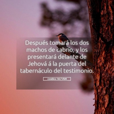 Picture 05 - Levítico 16:7 RVA - Después tomará los dos machos de cabrío, y los - Bible Verse Picture