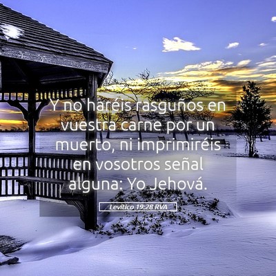 Picture 05 - Levítico 19:28 RVA - Y no haréis rasguños en vuestra carne por un - Bible Verse Picture