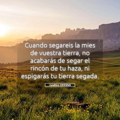 Picture 05 - Levítico 19:9 RVA - Cuando segareis la mies de vuestra tierra, no - Bible Verse Picture