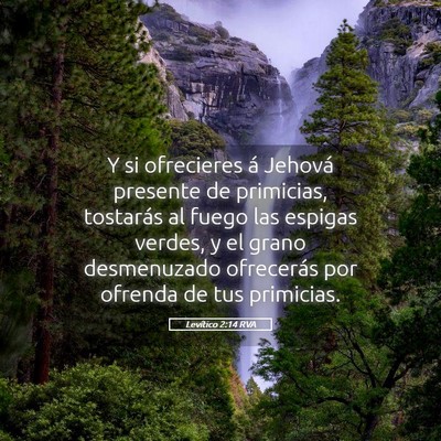Picture 05 - Levítico 2:14 RVA - Y si ofrecieres á Jehová presente de primicias, - Bible Verse Picture