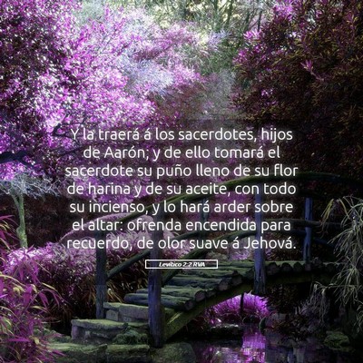 Picture 05 - Levítico 2:2 RVA - Y la traerá á los sacerdotes, hijos de Aarón; - Bible Verse Picture