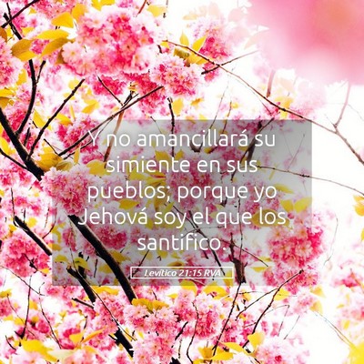 Picture 05 - Levítico 21:15 RVA - Y no amancillará su simiente en sus pueblos; - Bible Verse Picture