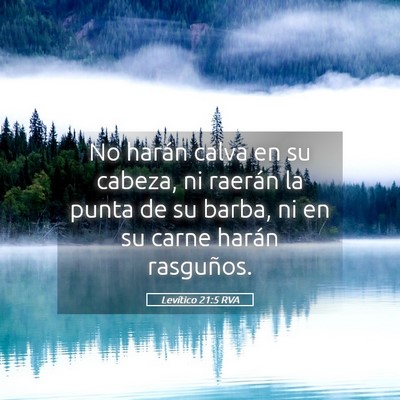 Picture 05 - Levítico 21:5 RVA - No harán calva en su cabeza, ni raerán la punta - Bible Verse Picture