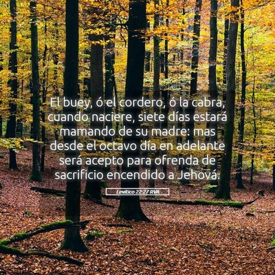 Picture 05 - Levítico 22:27 RVA - El buey, ó el cordero, ó la cabra, cuando - Bible Verse Picture