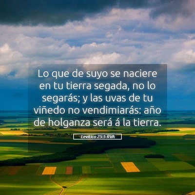 Picture 05 - Levítico 25:5 RVA - Lo que de suyo se naciere en tu tierra segada, no - Bible Verse Picture