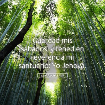 Picture 05 - Levítico 26:2 RVA - Guardad mis sábados, y tened en reverencia mi - Bible Verse Picture