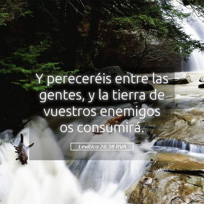 Picture 05 - Levítico 26:38 RVA - Y pereceréis entre las gentes, y la tierra de - Bible Verse Picture