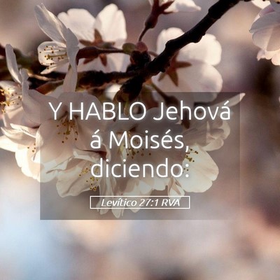 Picture 05 - Levítico 27:1 RVA - Y HABLO Jehová á Moisés, - Bible Verse Picture