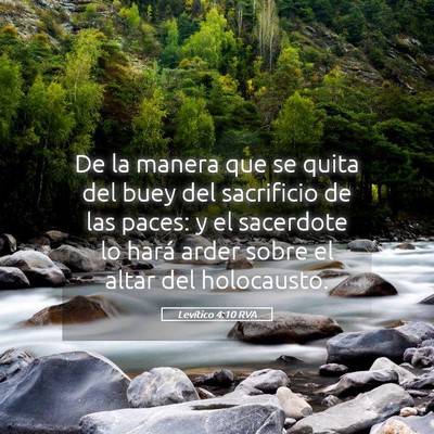 Picture 05 - Levítico 4:10 RVA - De la manera que se quita del buey del sacrificio - Bible Verse Picture