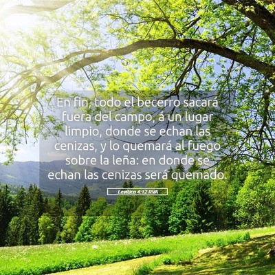 Picture 05 - Levítico 4:12 RVA - En fin, todo el becerro sacará fuera del campo, - Bible Verse Picture