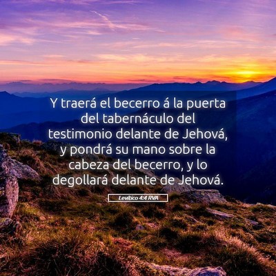 Picture 05 - Levítico 4:4 RVA - Y traerá el becerro á la puerta del - Bible Verse Picture