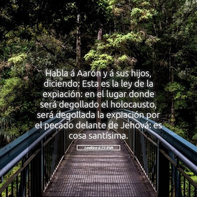 Picture 05 - Levítico 6:25 RVA - Habla á Aarón y á sus hijos, diciendo: Esta es - Bible Verse Picture