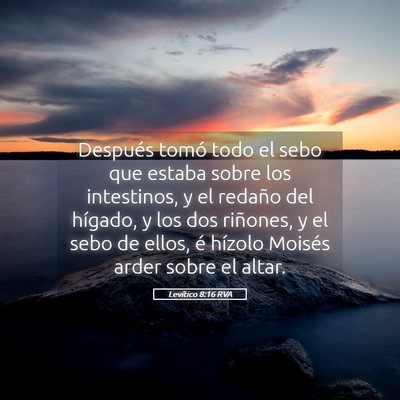 Picture 05 - Levítico 8:16 RVA - Después tomó todo el sebo que estaba sobre los - Bible Verse Picture
