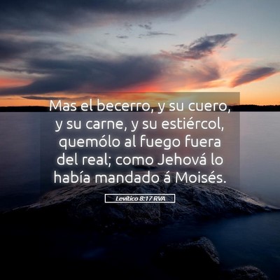 Picture 05 - Levítico 8:17 RVA - Mas el becerro, y su cuero, y su carne, y su - Bible Verse Picture