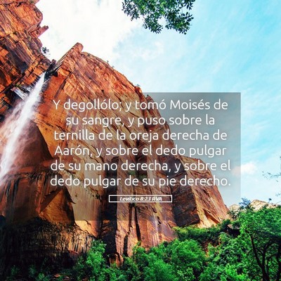 Picture 05 - Levítico 8:23 RVA - Y degollólo; y tomó Moisés de su sangre, y - Bible Verse Picture